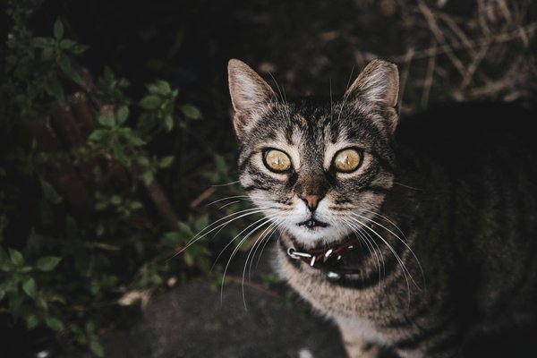 Erfolgreich ins Eigenheim: Der ultimative Guide für nachhaltiges Immobilienwachstum